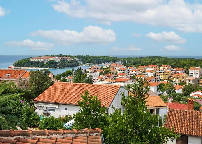 Gorgeous In With Wifi Apartament *