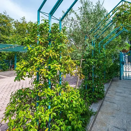 3 Bedroom Front In Daire *